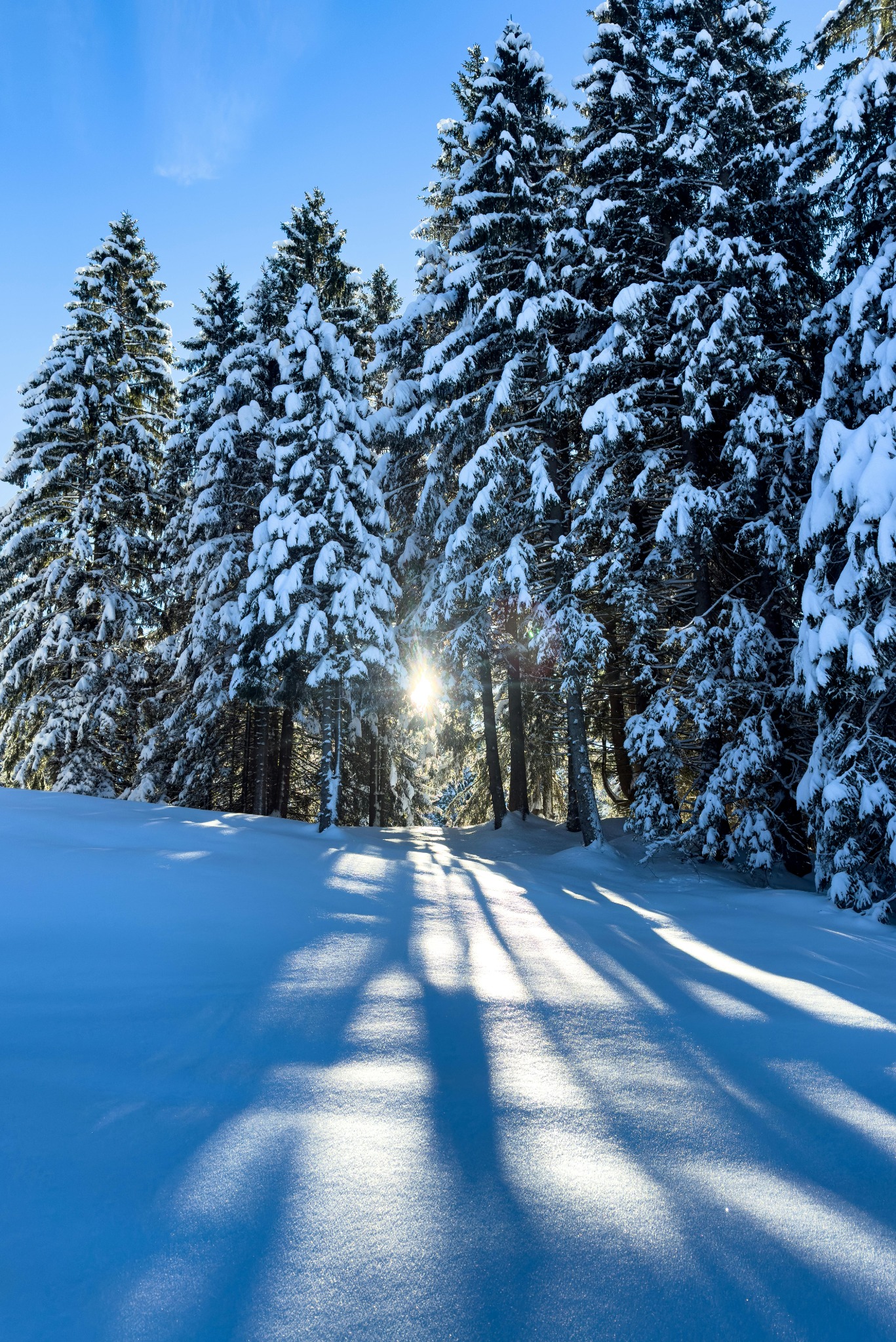 Winterlandschaft in Salzburg